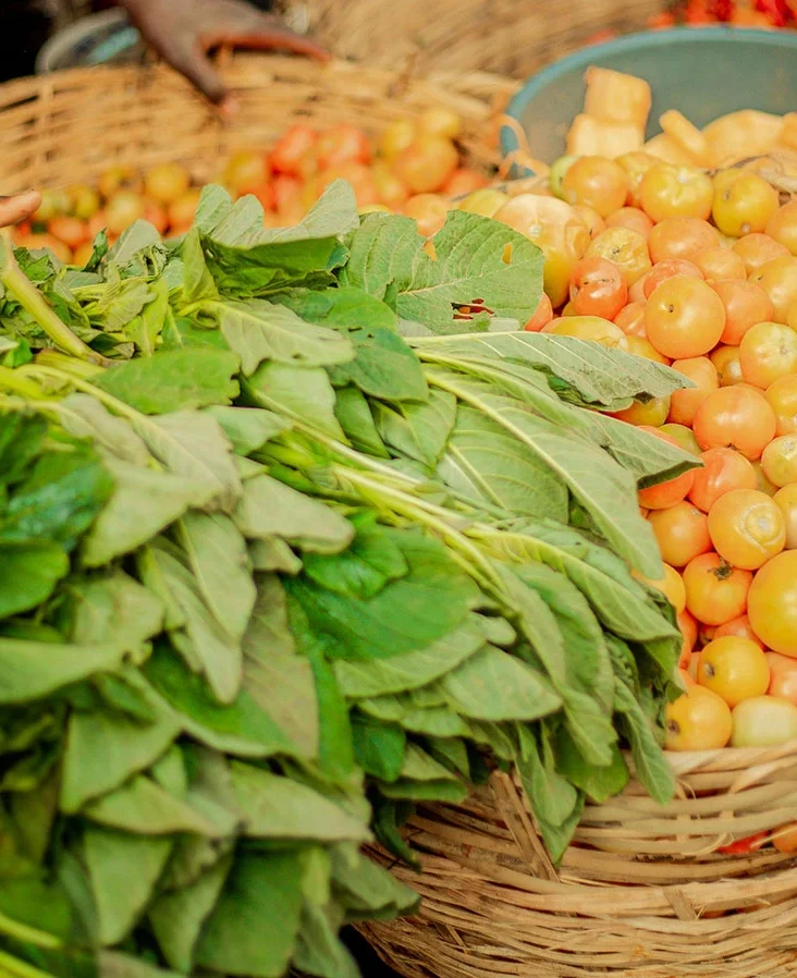 Organic farms avoid toxic inputs, improve soil health, grow clean, sustainable food that supports nature.