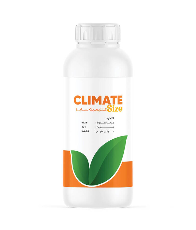Climate Size