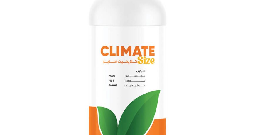 Climate Size