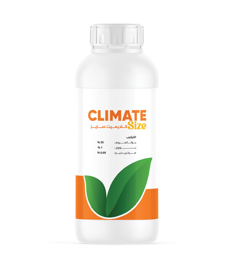 Climate Size