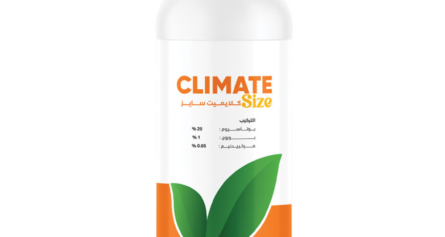Climate Size